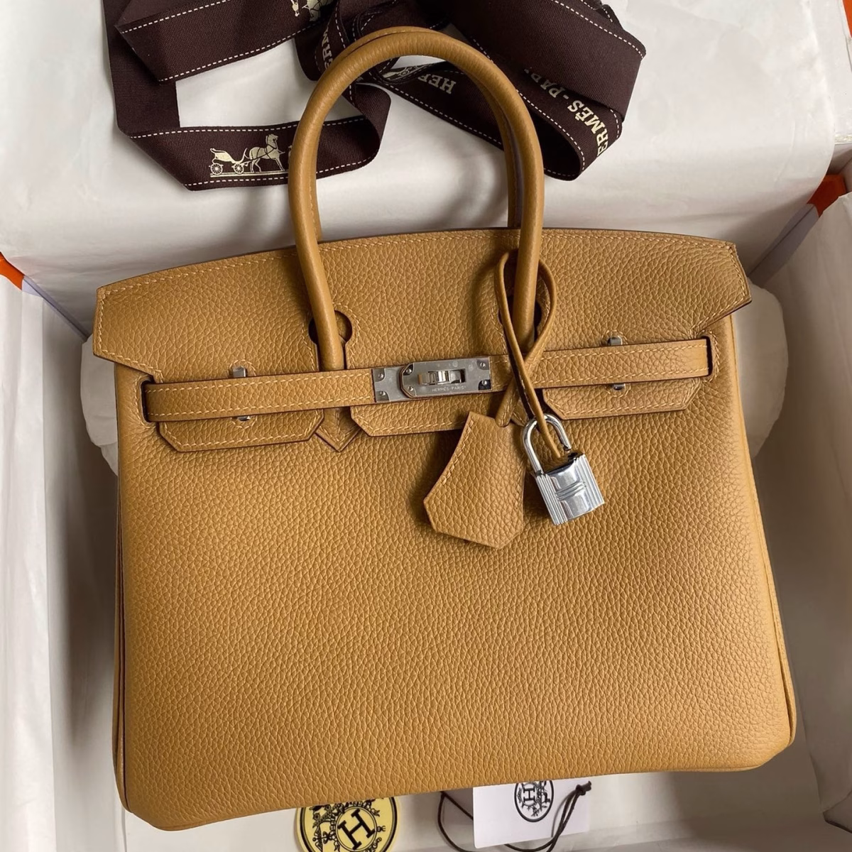 Hermes Birkin 25 Retourne Handmade Bag In Biscuit Clemence Leather - Image 1
