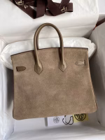 Hermes Birkin 25 Grizzly Bag in Taupe Veau Doblis and Swift Leather - Image 2