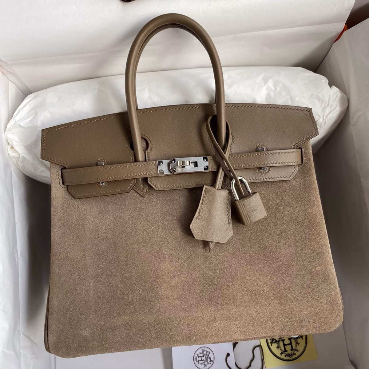 Hermes Birkin 25 Grizzly Bag in Taupe Veau Doblis and Swift Leather - Image 1