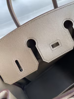 Hermes Birkin 25 Grizzly Bag in Taupe Veau Doblis and Swift Leather - Image 7