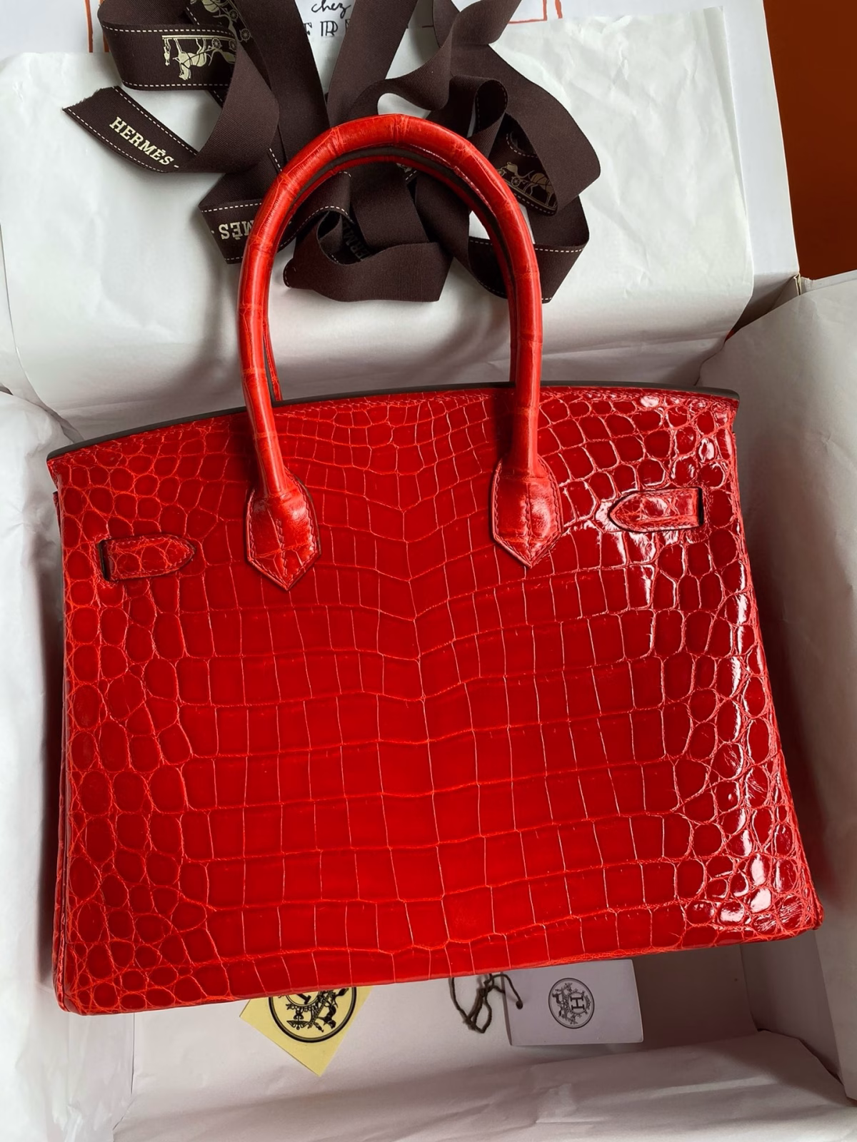 Hermes Birkin 25 Handmade Bag In Red Crocodile Niloticus Shiny Skin - Image 6