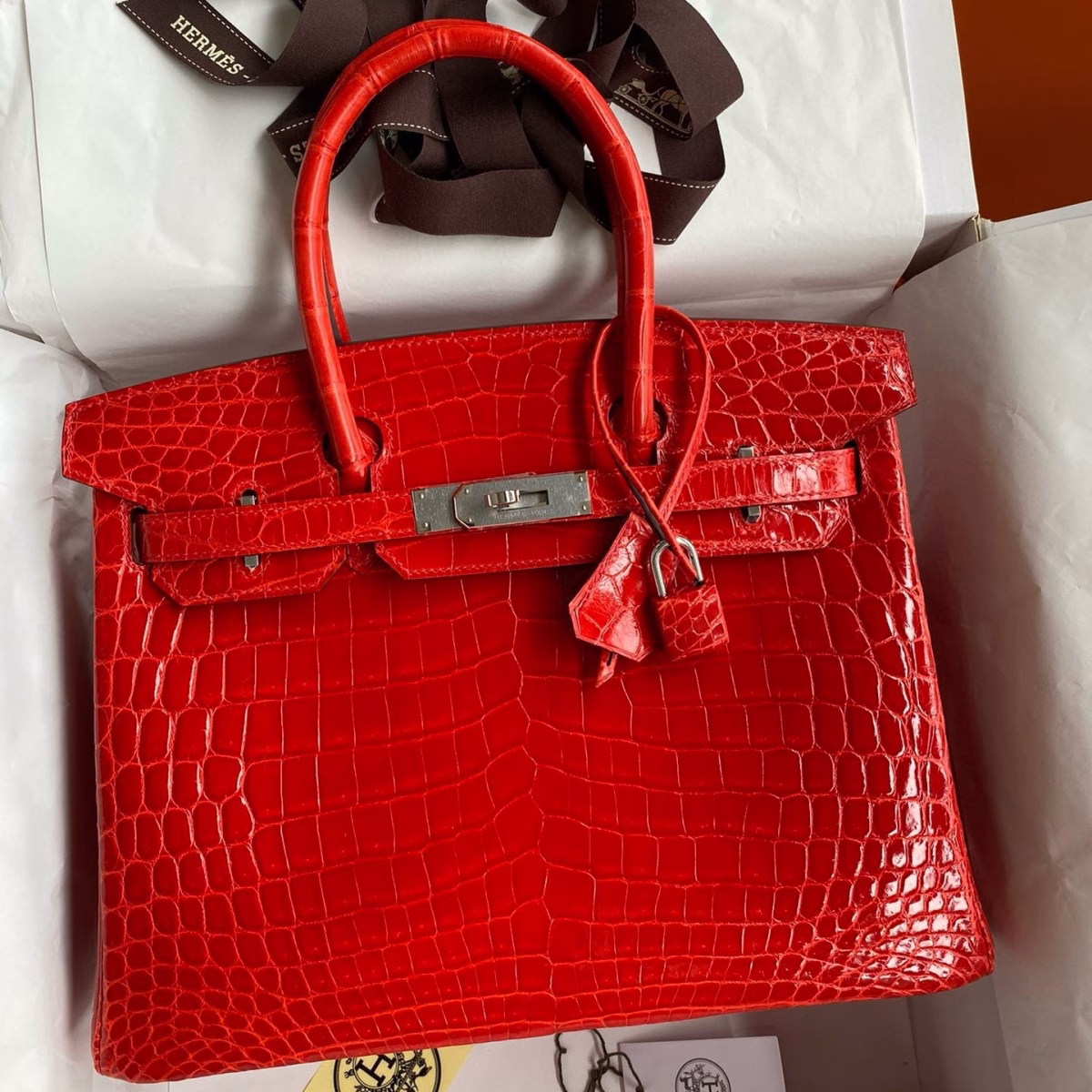 Hermes Birkin 25 Handmade Bag In Red Crocodile Niloticus Shiny Skin - Image 1