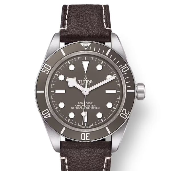 TUDOR Black Bay 58 925 39 mm silver case, Brown leather bracelet