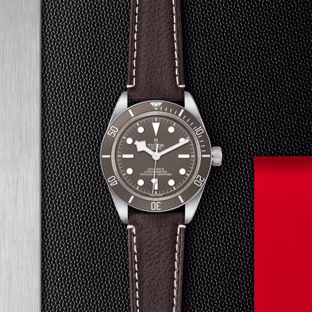 TUDOR Black Bay 58 925 39 mm silver case, Brown leather bracelet - Image 7