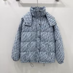DIOR 2024 Autumn/Winter New Down Jacket