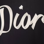 Dior 2022 new spliced ribbon logo couple's casual short-sleeve T-shirt - Image 3