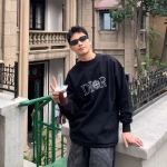 DIOR x Stone Island Embroidered Letter Sweatshirt