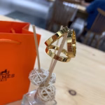 New counter styles are launched simultaneously: Hermès scarf buckles - Image 5